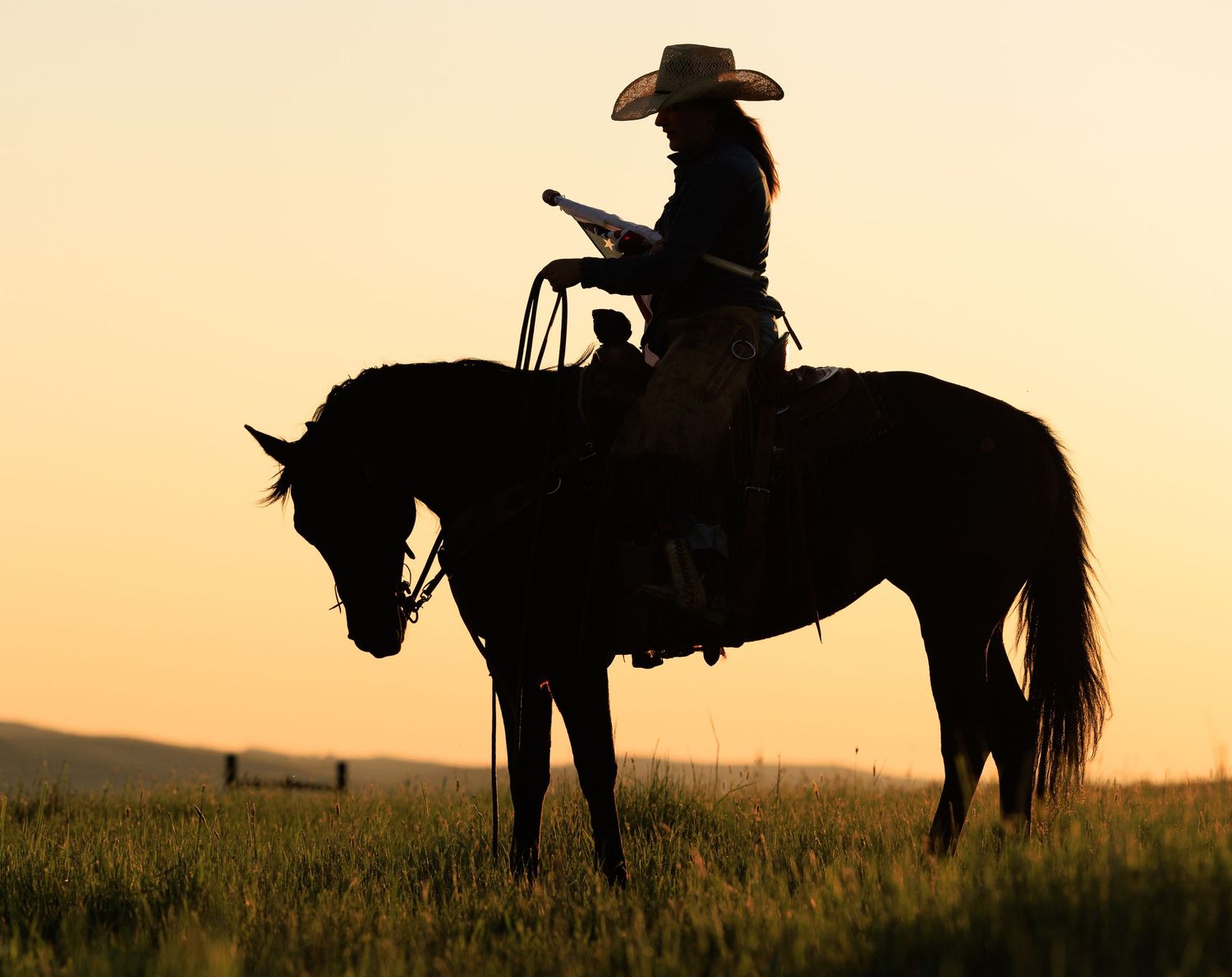 Connection between a cowgirl and her horse