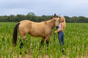Blonde woman standing with a buckskin horse in a lush green cornfield under a cloudy sky. Salem and Gloucester County Senior Portraits