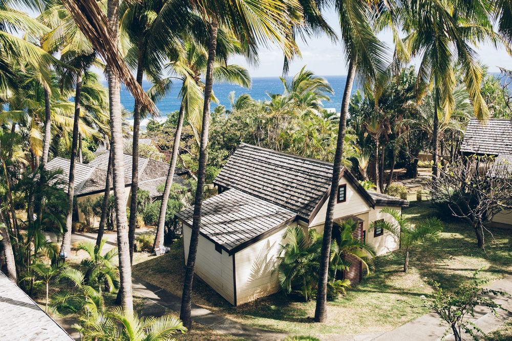 Tropical beach resort bungalows nestled among swaying palm trees with turquoise ocean views in the background.