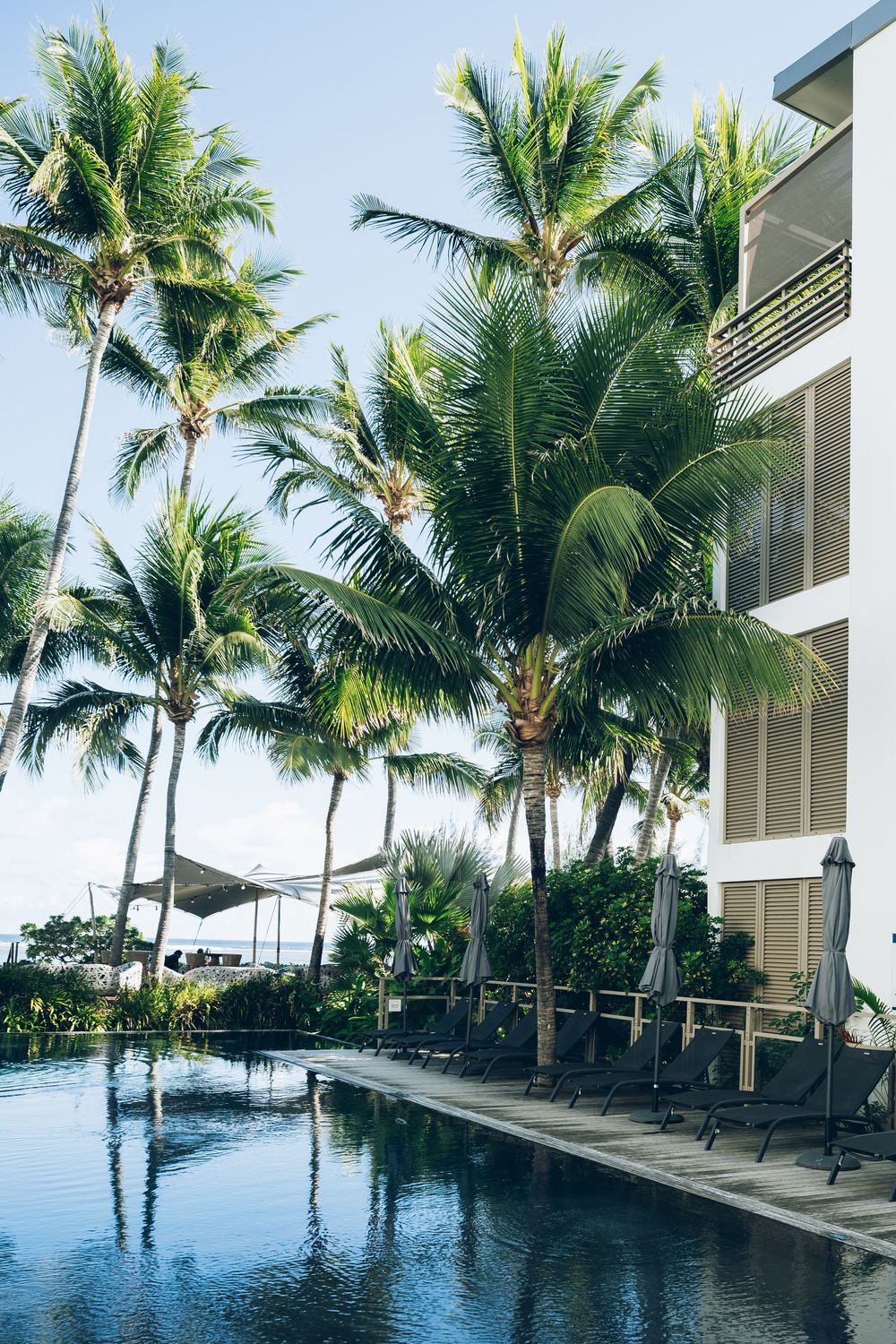 Tropical resort pool surrounded by tall palm trees and lounge chairs beside a modern white building.