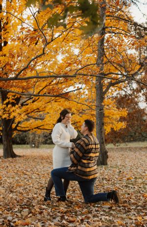 Autumn proposal scene with golden leaves and trees in background.