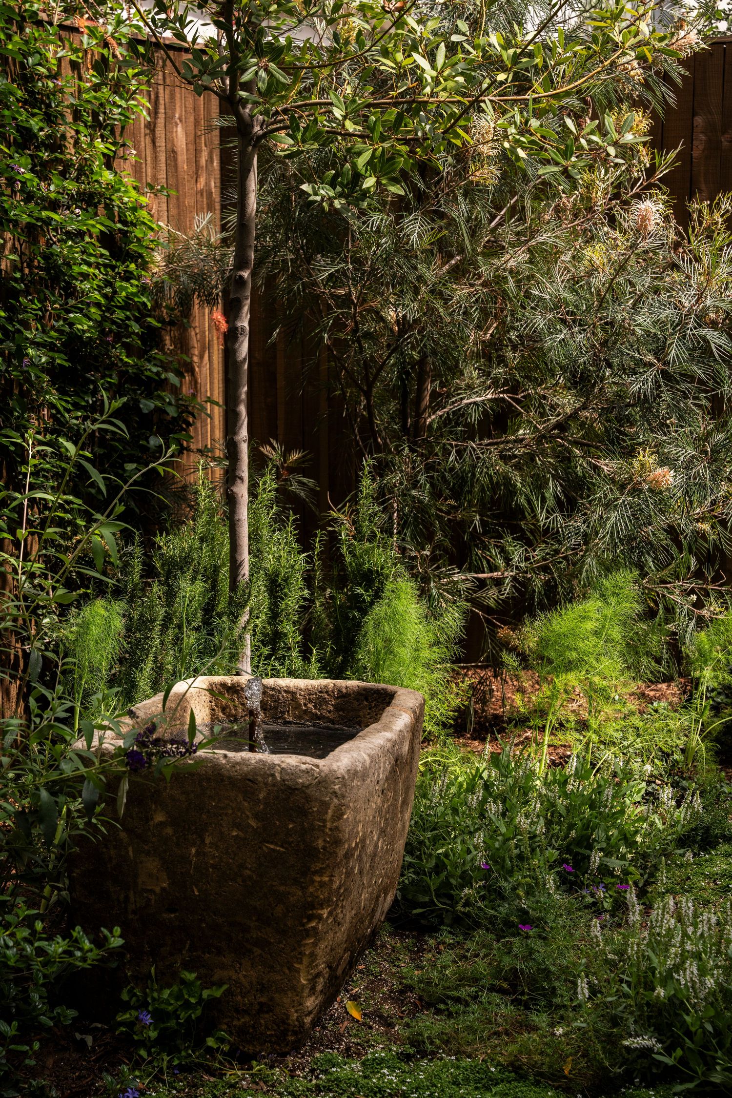 An old stone trough sits in a lush garden surrounded by green foliage and wooden fencing in dappled sunlight.