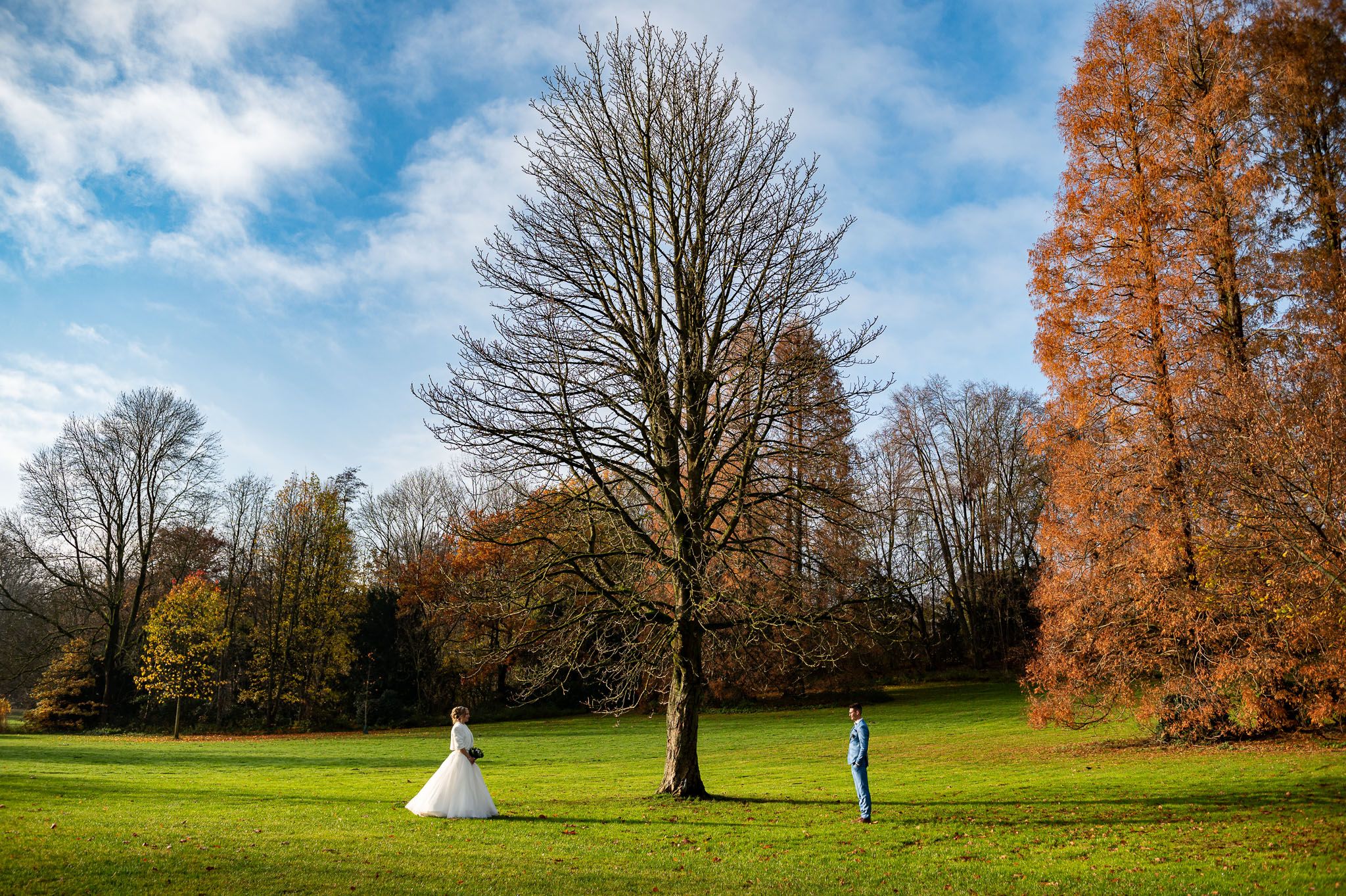 Hochzeitsfotografie im Herbstpark mit Paar unter einem großen, kahlen Baum und orangefarbenem Laub vor dem blauen Himmel.