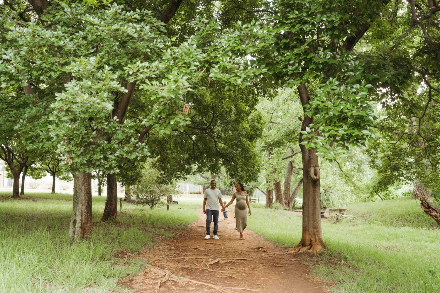 A series of shots showing a tree-lined path in a lush green park.