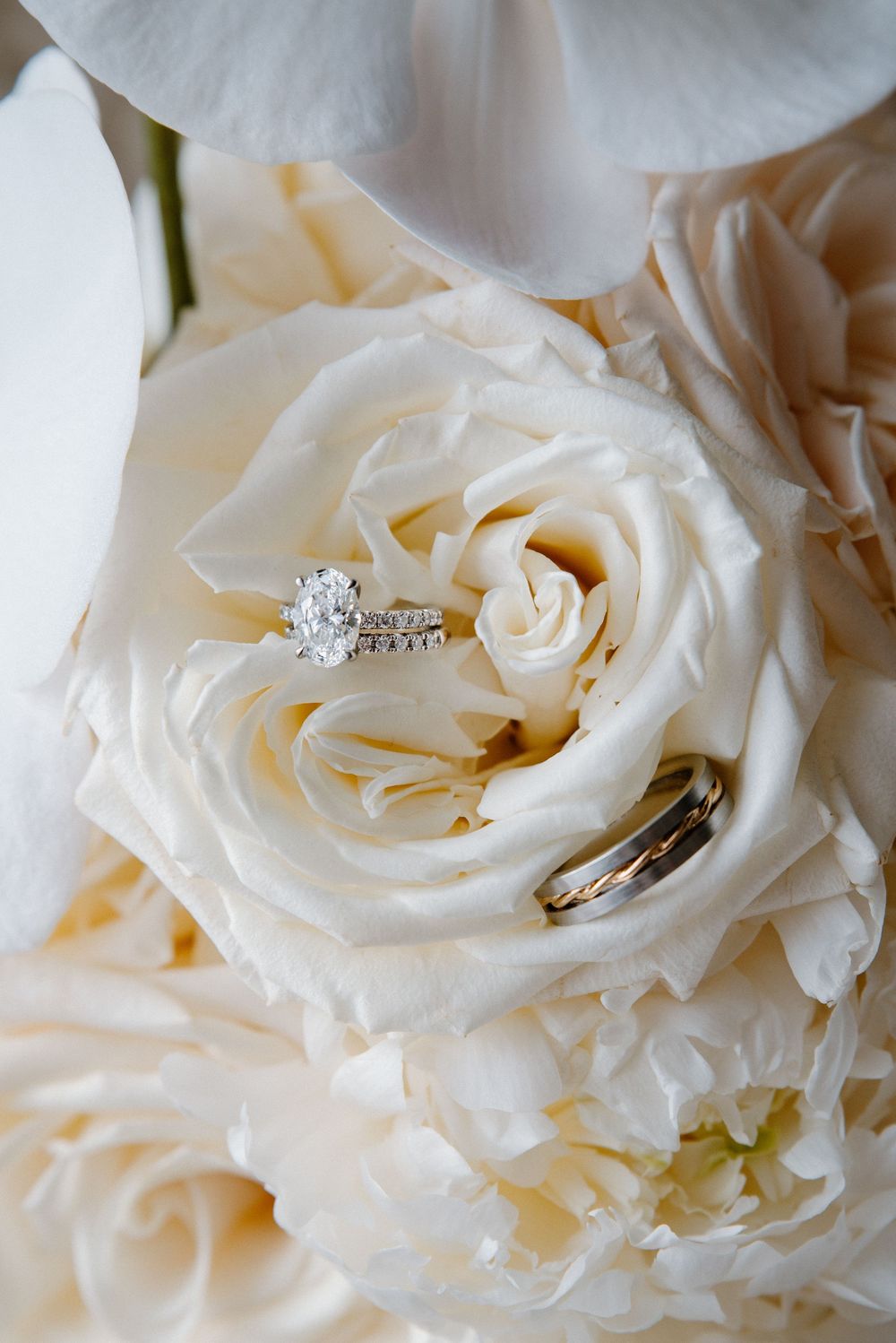 Close-up detail of diamond engagement ring nestled in delicate white rose petals.
