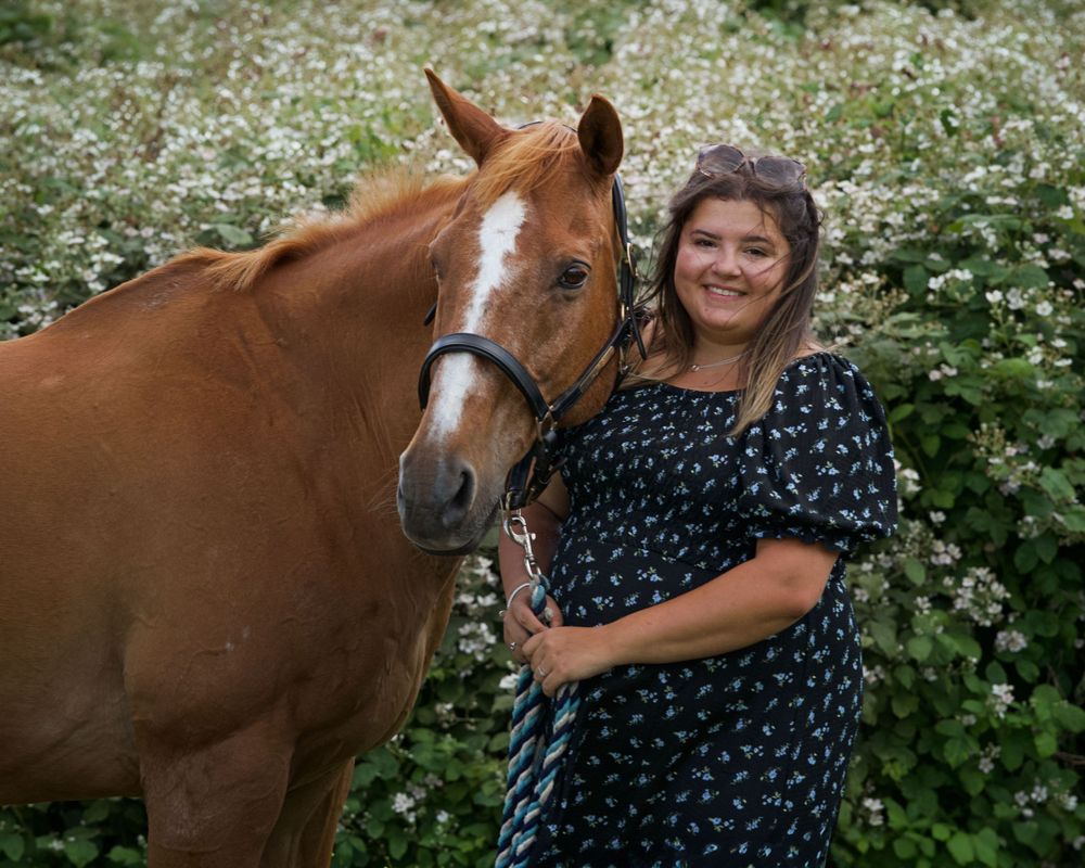 A chestnut horse and companion pose together in a field of white wildflowers.