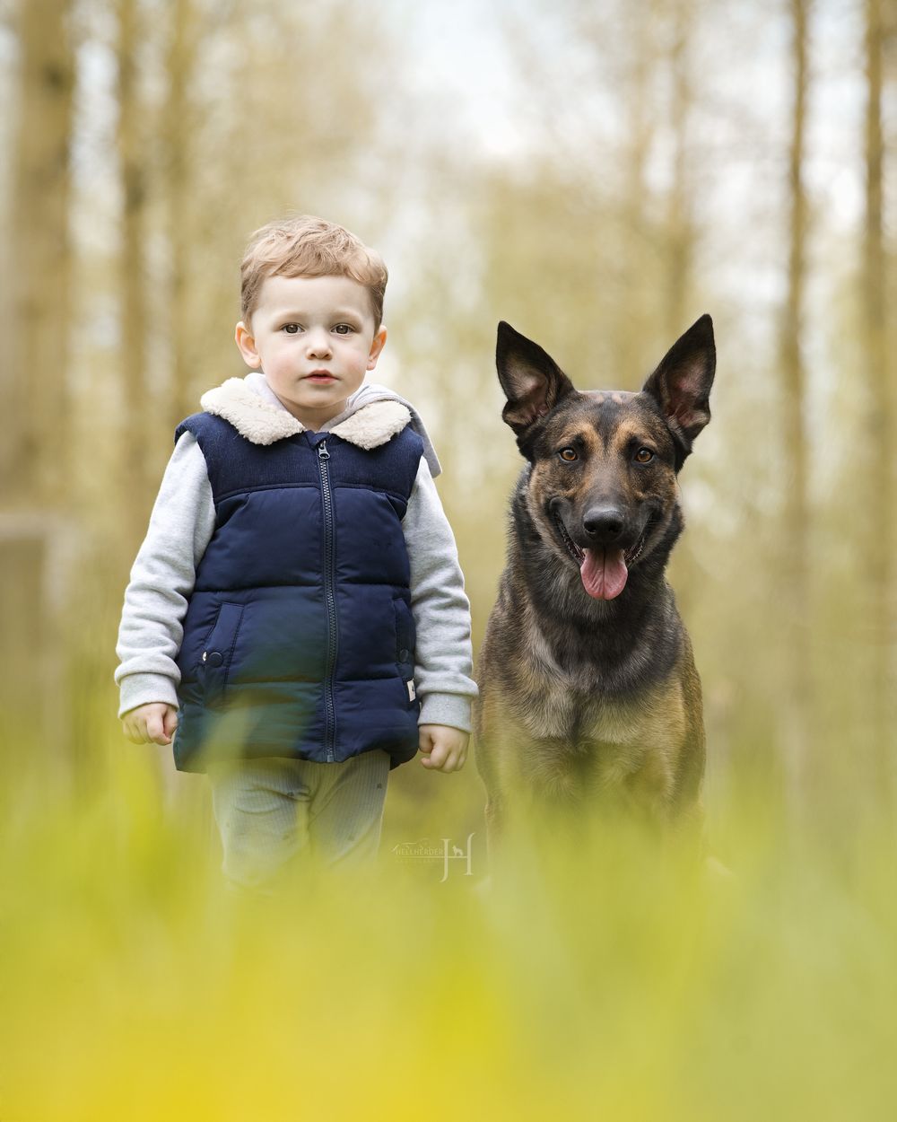 German Shepherd dog and small child playing together in spring forest setting.