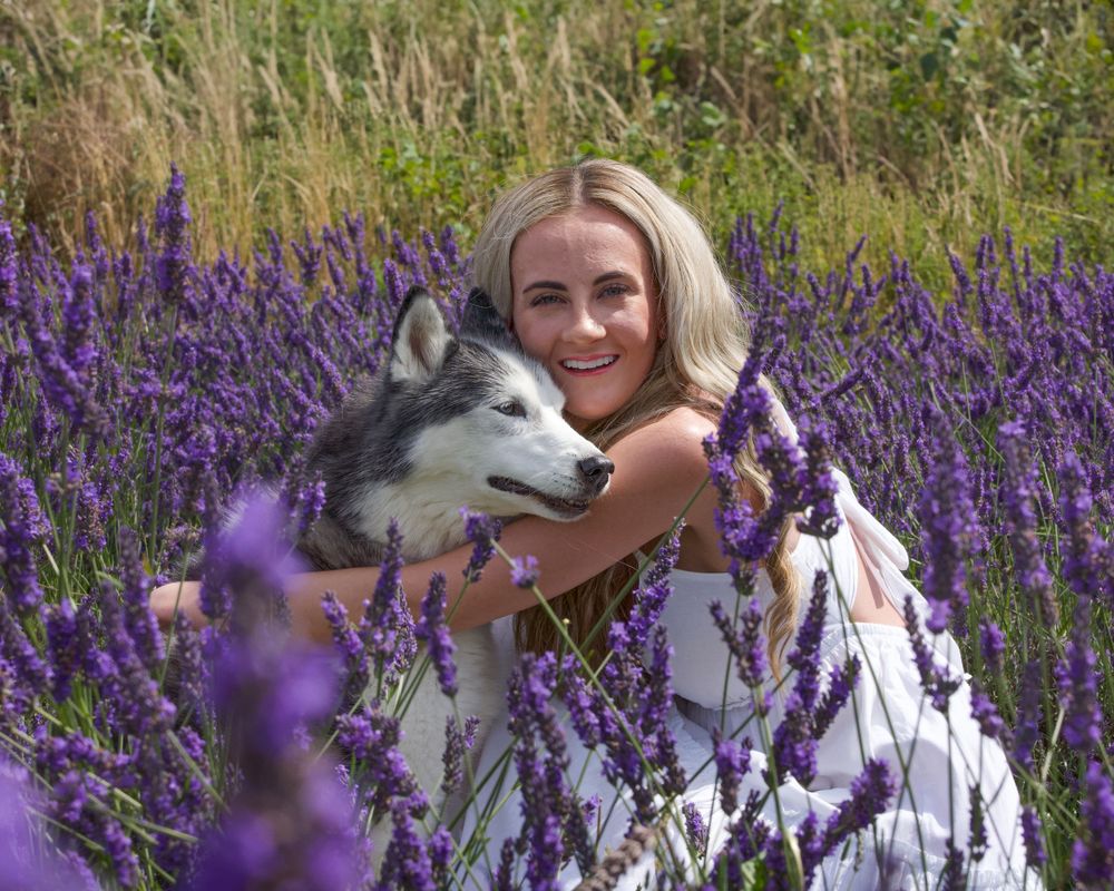 A husky dog and companion share a moment in a blooming lavender field.