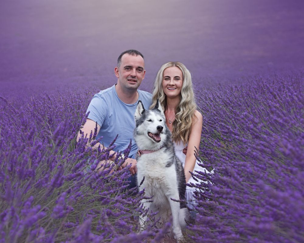 A couple and their white dog pose in a stunning purple lavender field at sunset.
