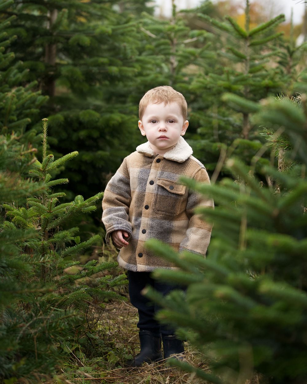 A young child in a brown coat explores a Christmas tree farm surrounded by evergreen branches.