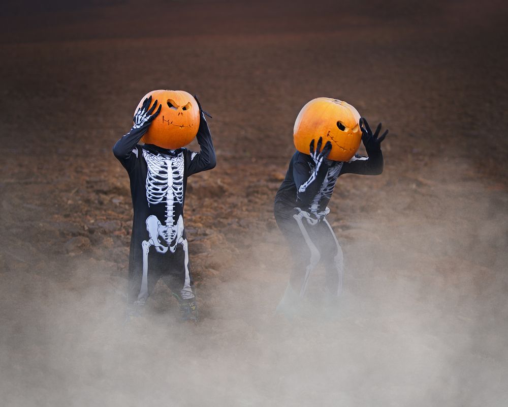 Two dogs wearing skeleton costumes and pumpkin masks playing in atmospheric fog.