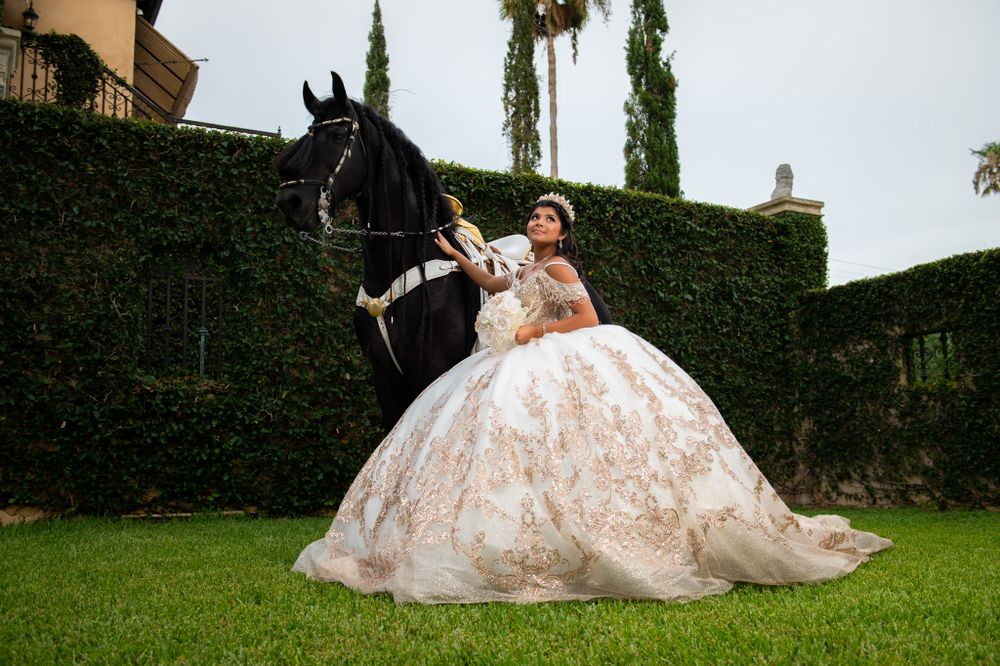 A stunning formal portrait with a regal black horse against an ivy-covered wall backdrop.