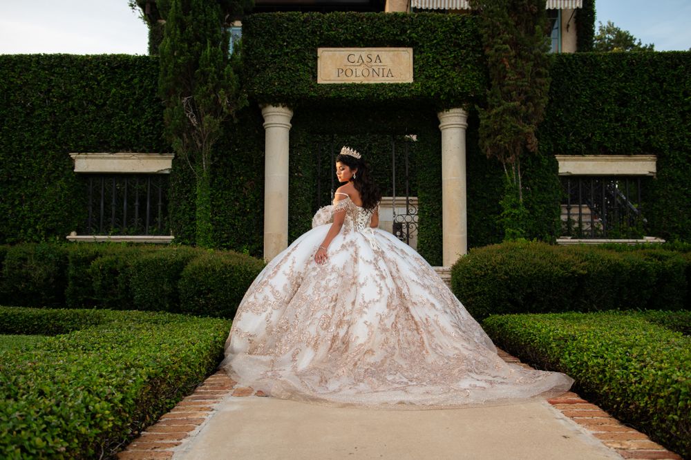 Dramatic full-length shot of a ballgown against an ivy-covered entrance.