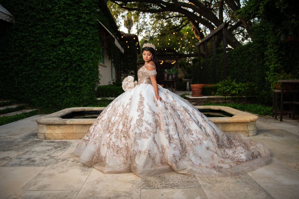 A stunning ornate ballgown with lace details photographed in an elegant outdoor garden setting.