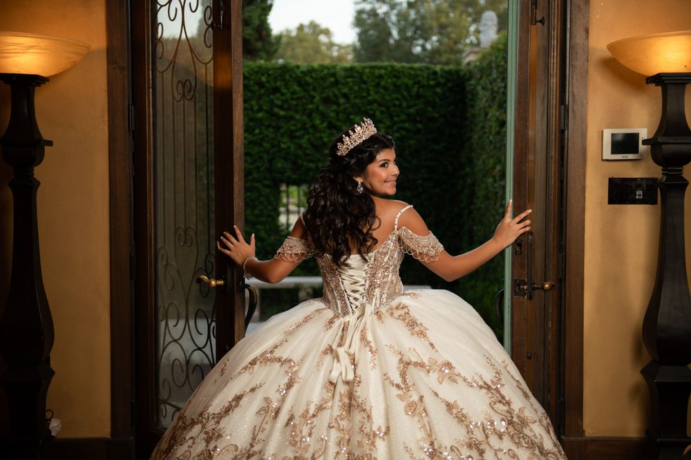A dramatic shot of a ball gown dress against ornate doors in an elegant hallway.