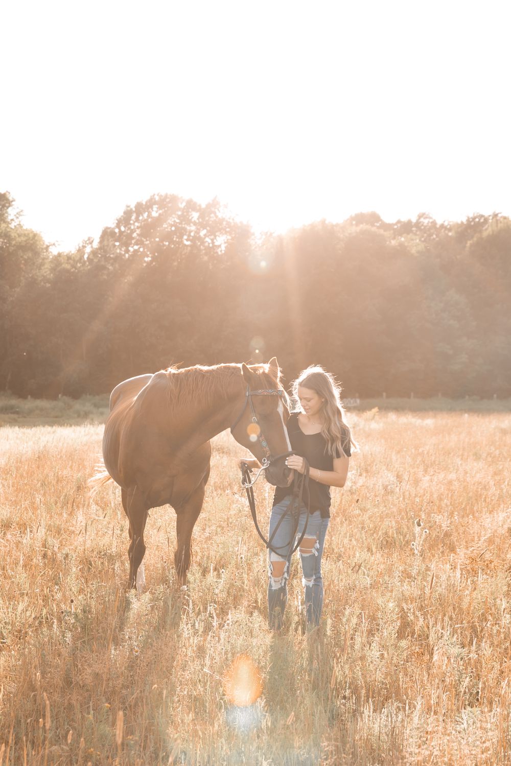 Person and horse silhouetted in golden sunlit field during sunset.