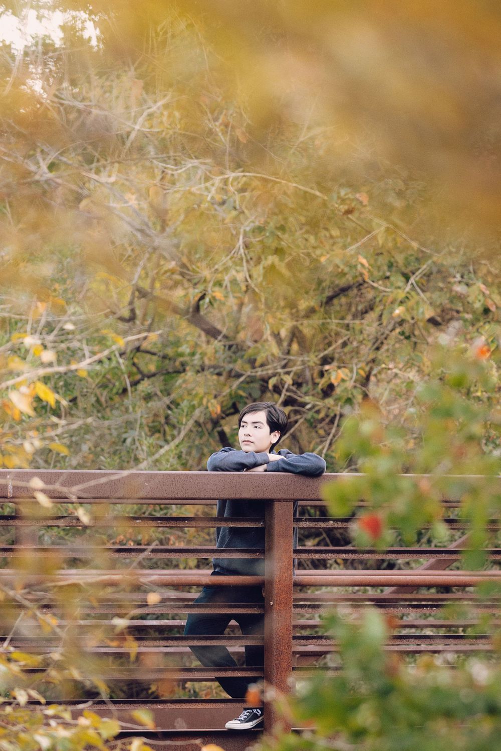 Someone sits peacefully on a wooden bridge surrounded by autumn foliage on a golden fall day in nature.