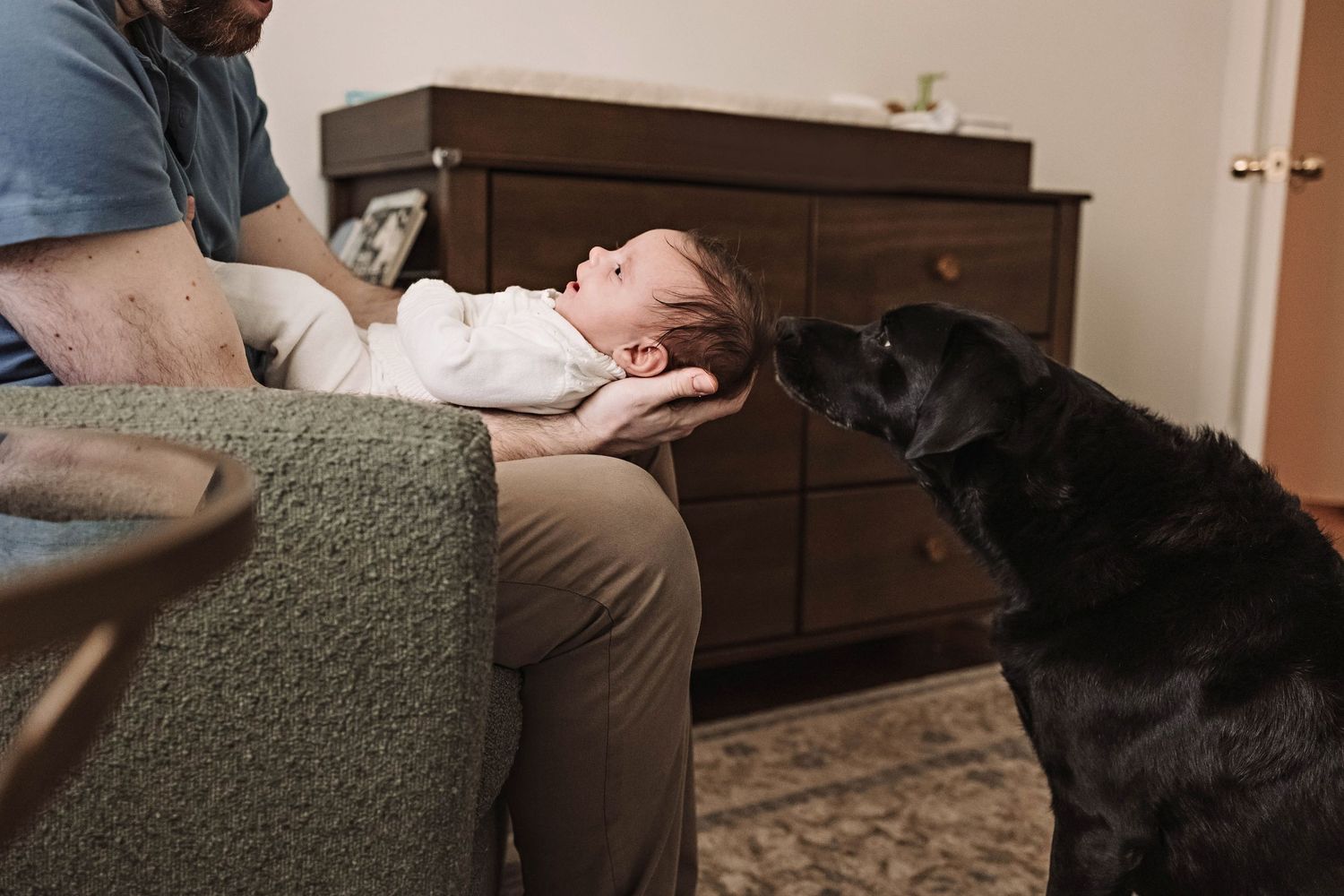 A photograph of a black labrador retriever shares a tenter moment at home with a newborn baby in father's arms near York PA in York County.