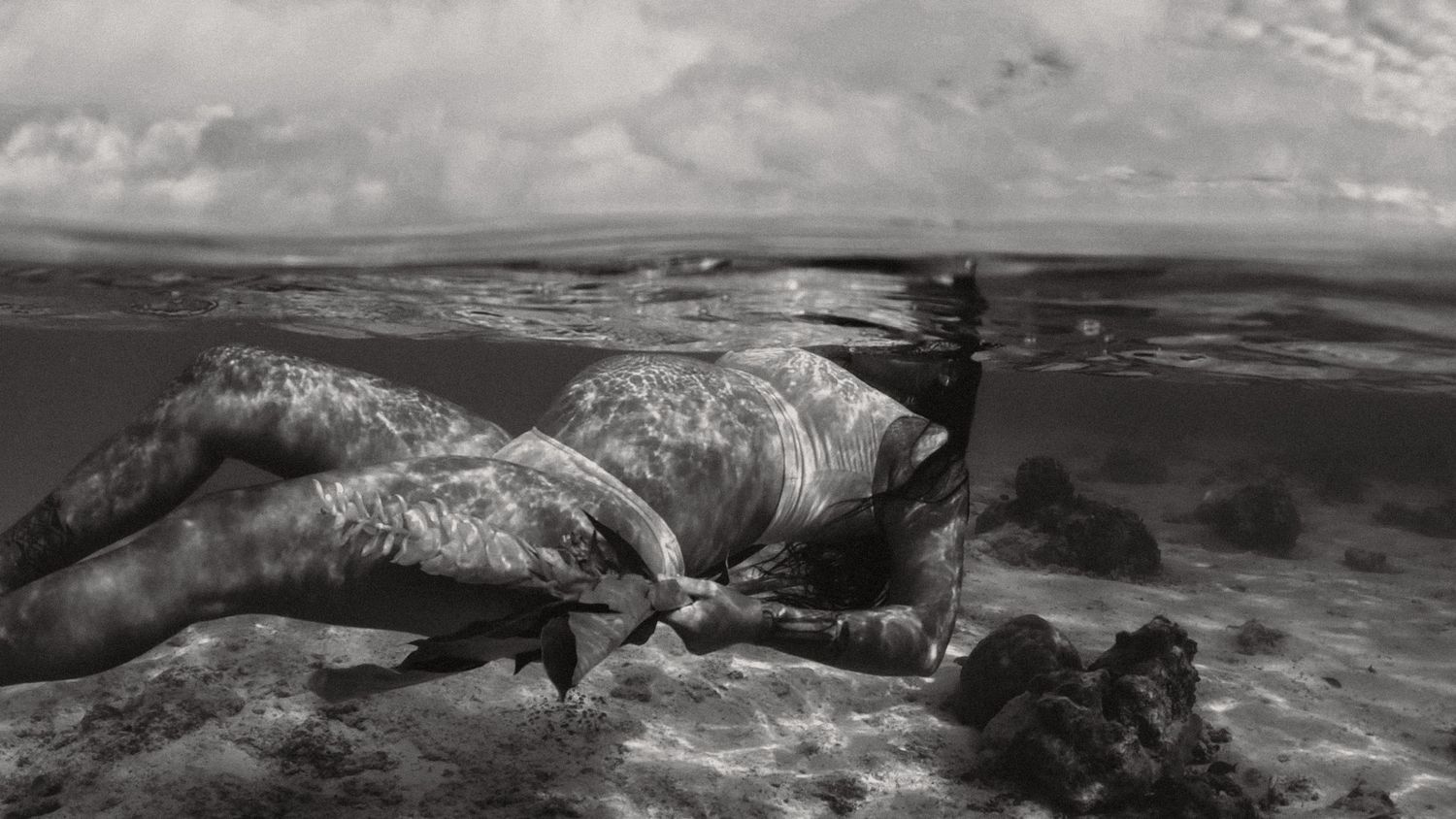 A split above and below water view shows a majestic walrus swimming underwater against a cloudy sky background.