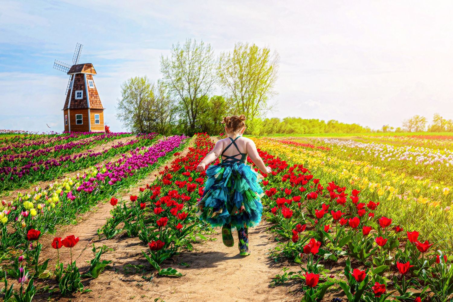 Tulips, spring photos, family session, children photography   Wheaton Batavia Aurora Naperville oswego barrington