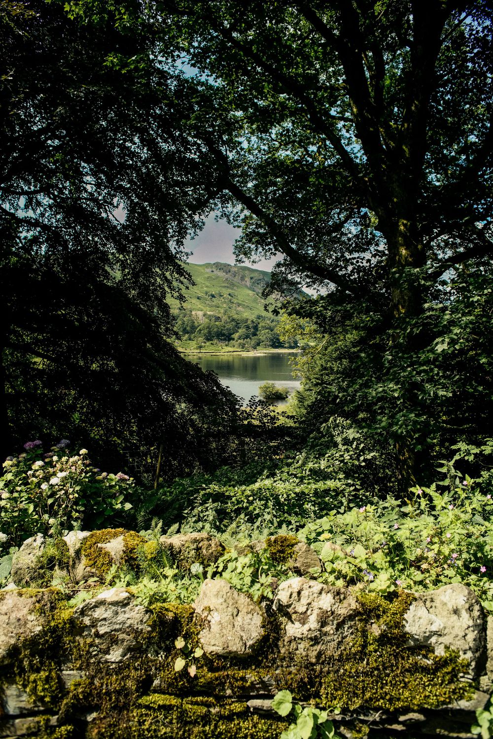 Scenic lake view through tree branches with stone wall and wildflowers in foreground.