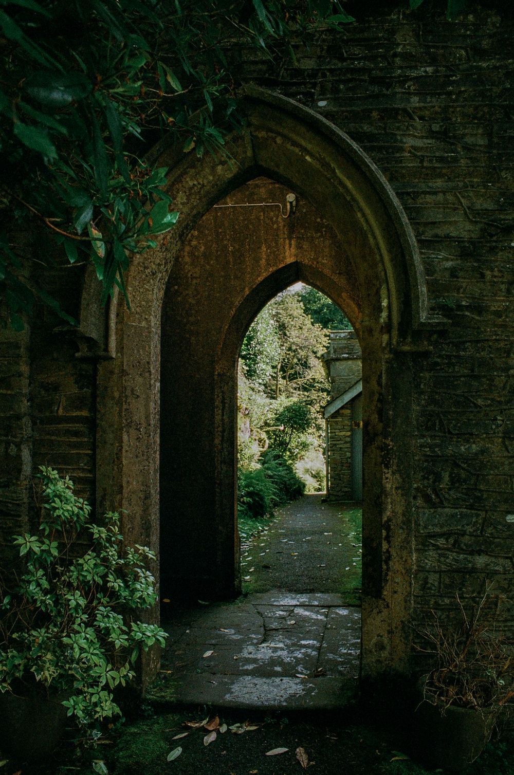 A stone archway passage through an old building covered in climbing vines and shadows.