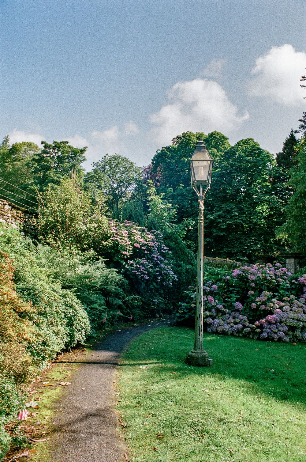 A curved garden path with an ornate lamppost surrounded by lush flowering bushes and trees on a sunny day.