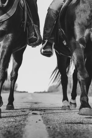Low-angle black and white photo of two horses' legs and hooves walking on a wet road.