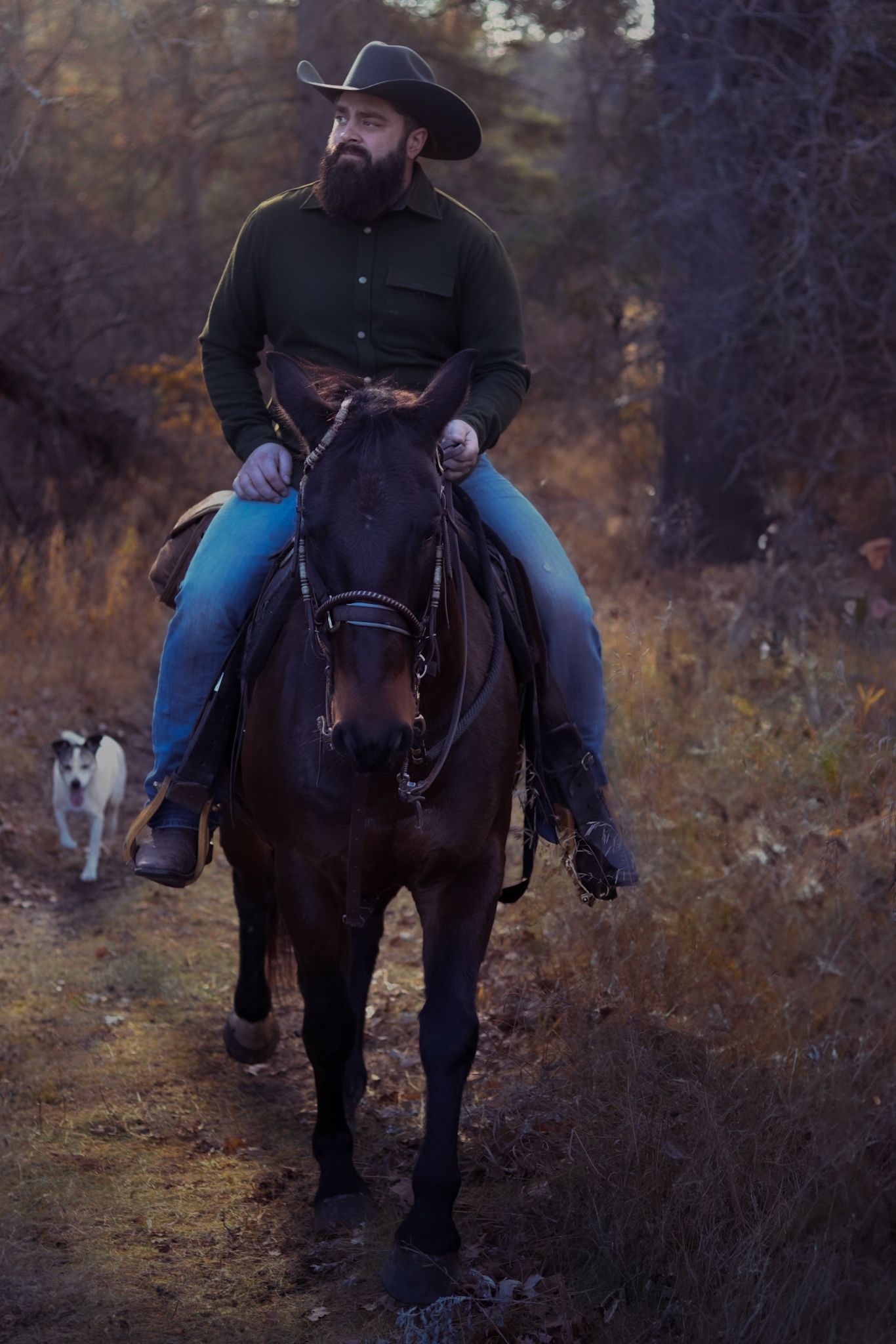 Horseback rider in western attire with dog companion on forested trail at dusk.