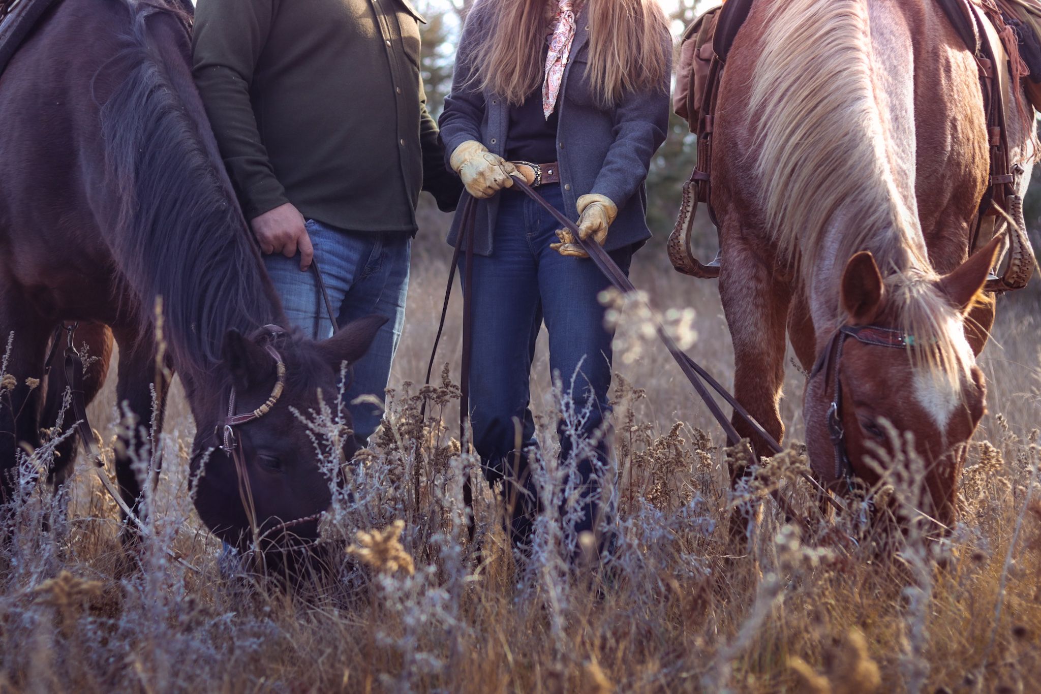 Horses grazing in dry autumn grass while riders gather during trail break.