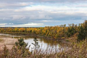 Scenic autumn landscape with winding river and golden forest under cloudy sky.