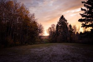 A scenic autumn sunset illuminates a tree-lined path through a wooded area with golden light filtering through branches.