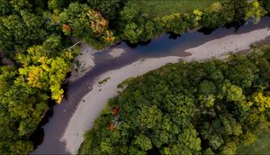 Aerial view of a winding road through lush green forest with sunlight filtering through dense tree canopy.