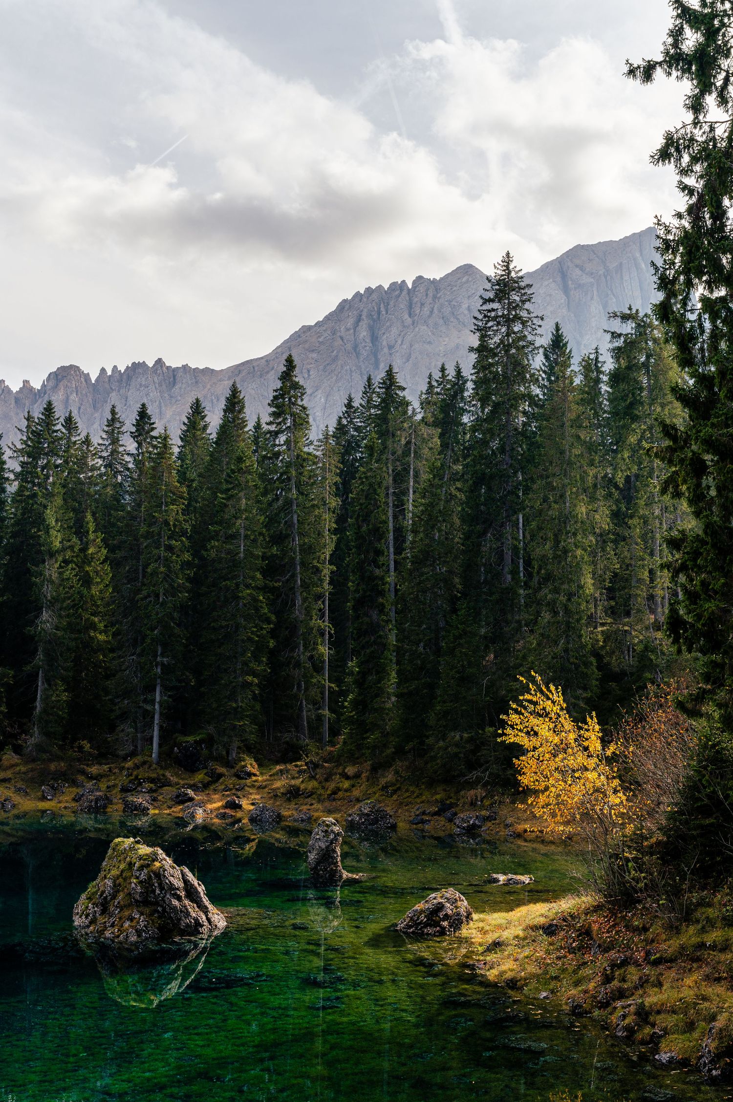 Lago de Cerezza, Dolomites, Italy - Altikon Studio