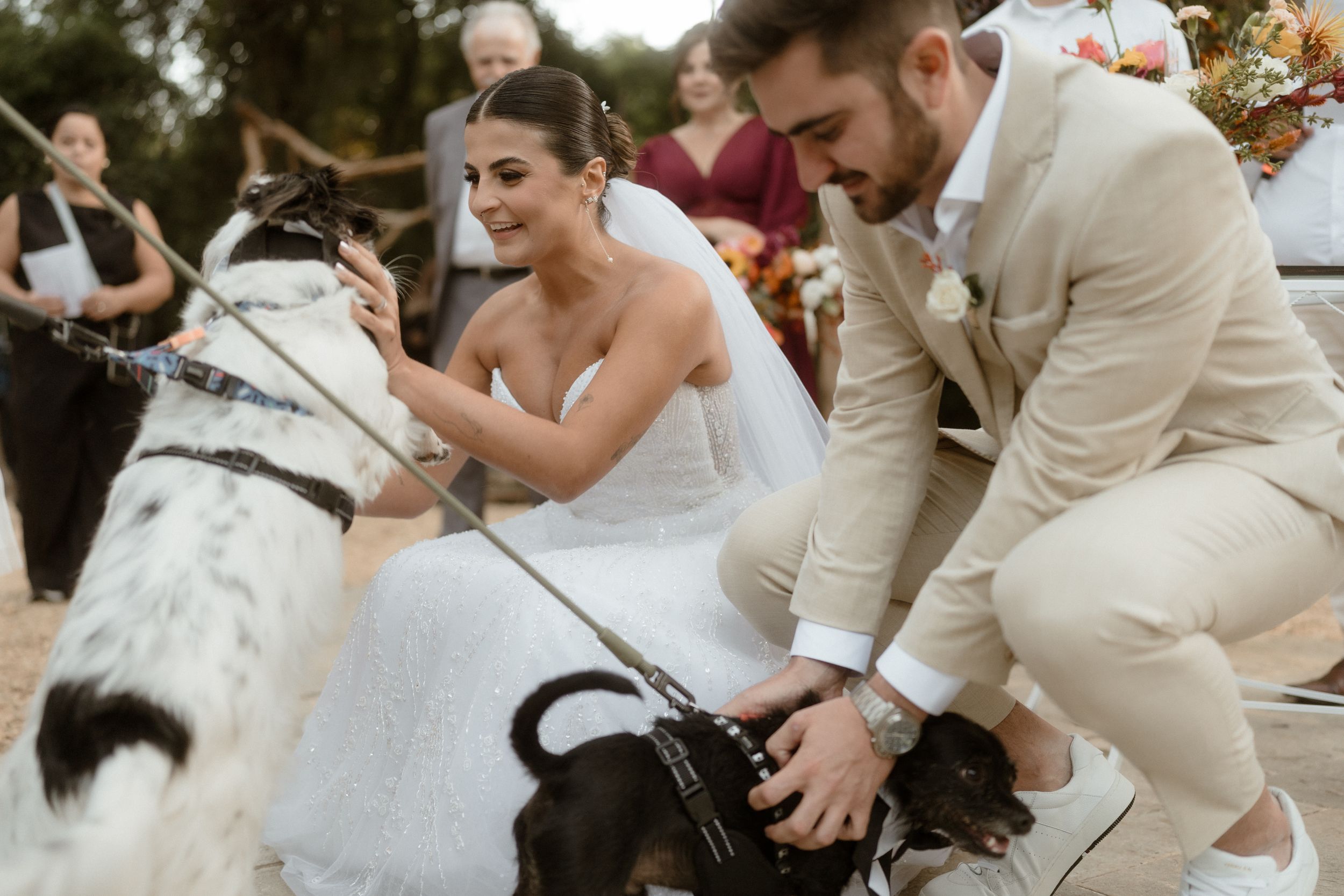 Elegant outdoor wedding celebration with guests gathering around decorative iron gates.