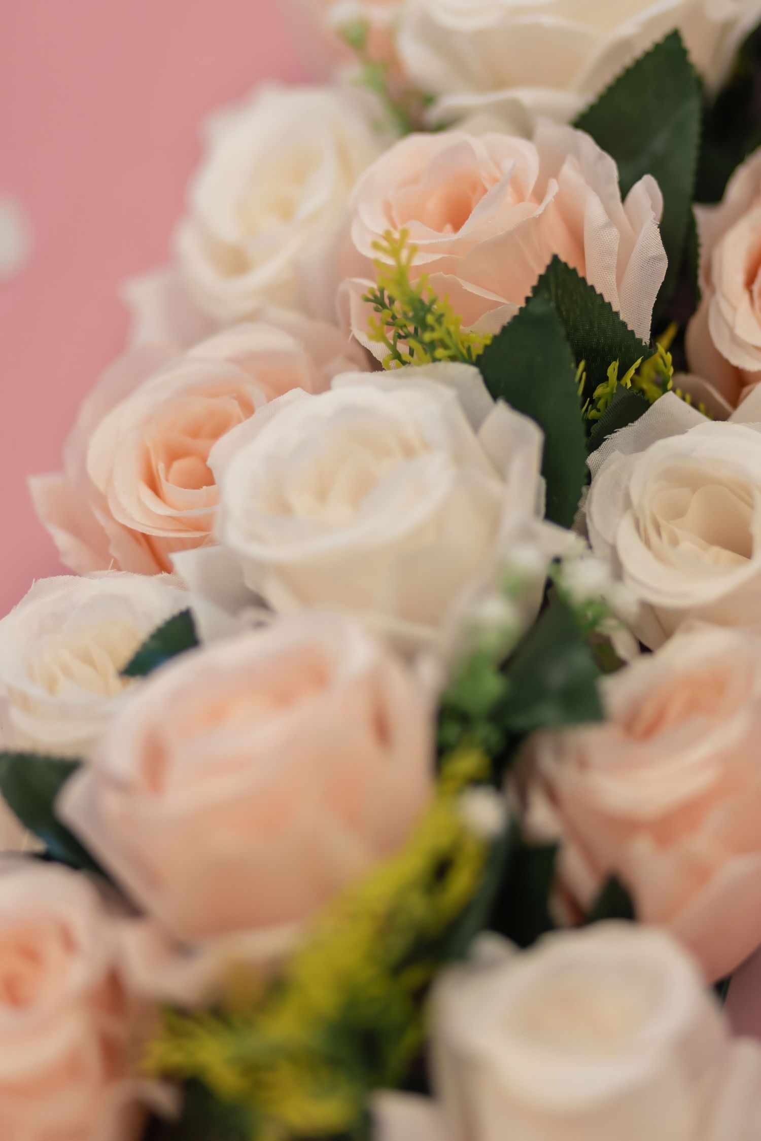 Close-up of pale pink roses and greenery against a pink background.
