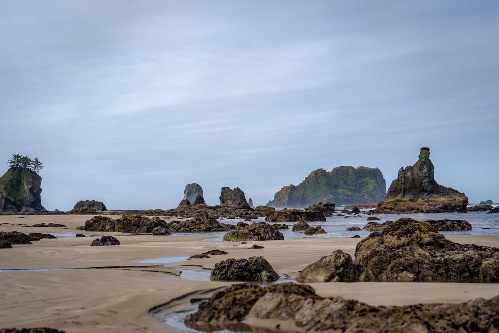 Coastal beach