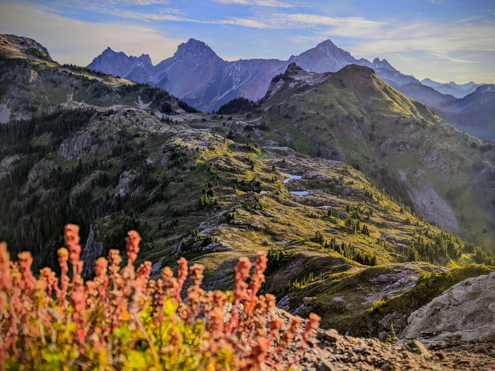 Yellow Aster Butte