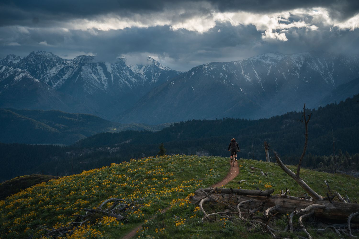 Biker looking at mountains