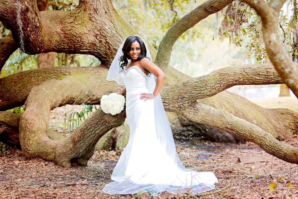 White wedding gown photographed against twisted tree branches in romantic outdoor setting.