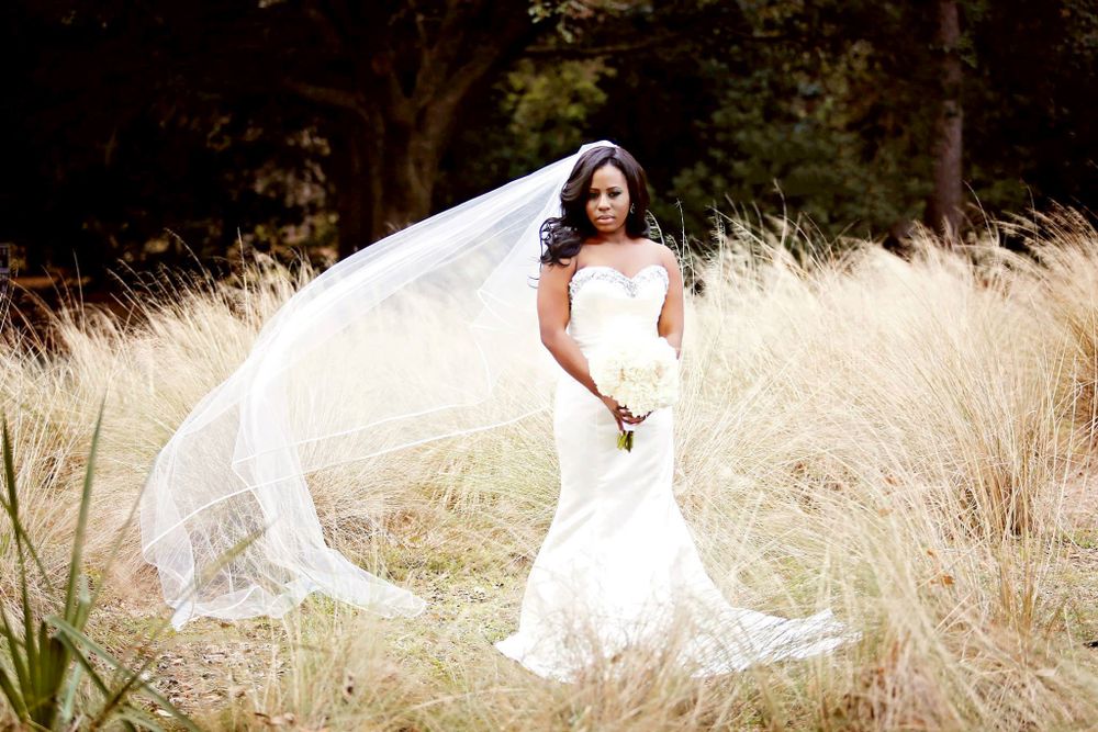 Dramatic bridal portrait with flowing veil caught in wind among tall grass.