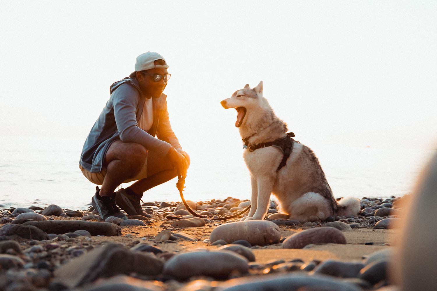 Un homme et son chien en vacances dans le département de la Manche en Normandie - Cotentin au coucher du soleil