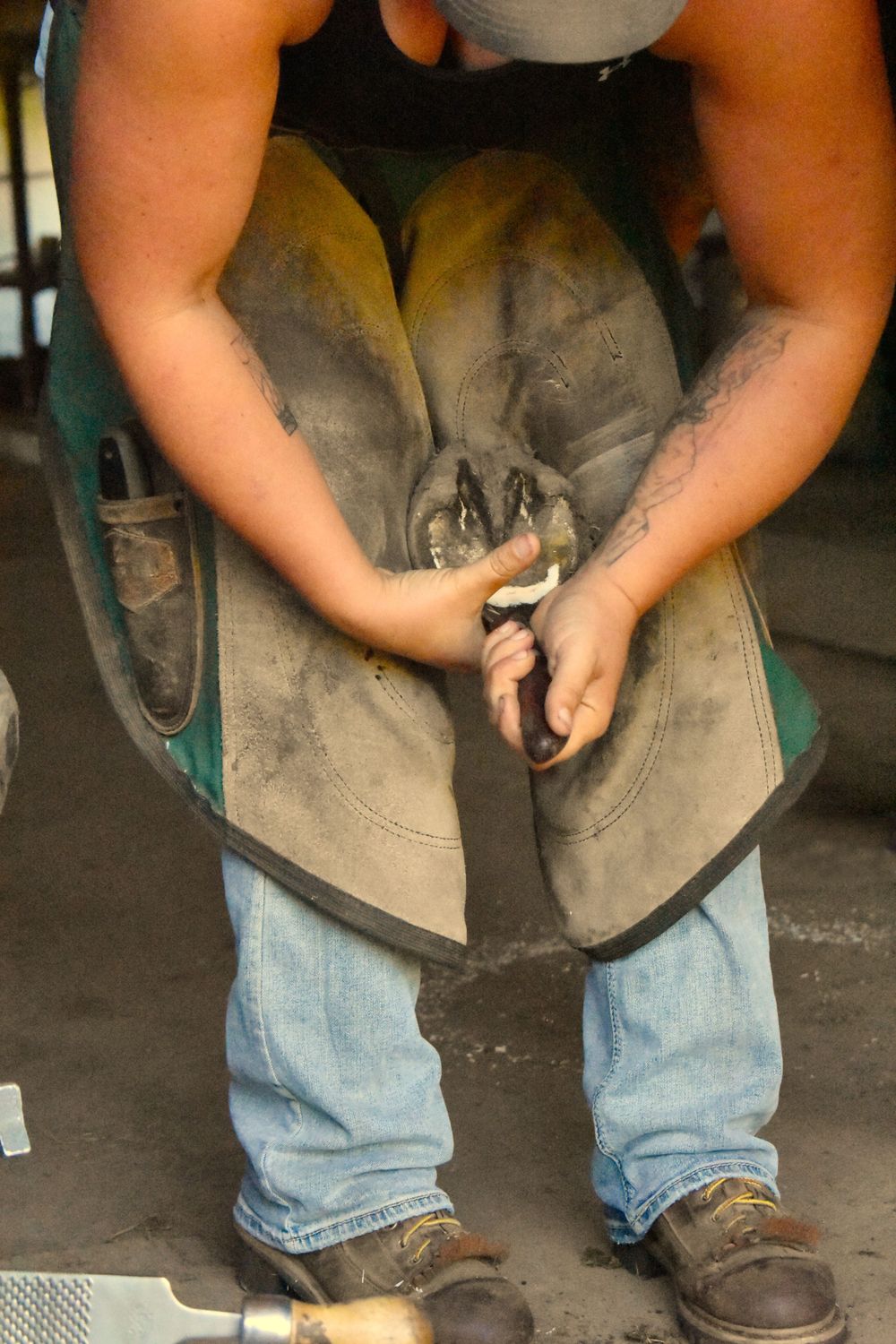 Weaver Horseshoeing ~ Wisconsin Farrier