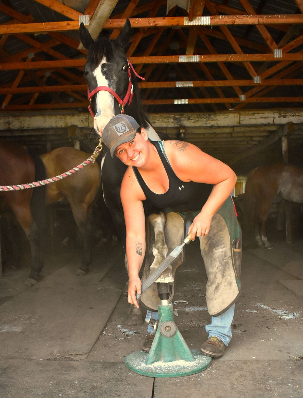 Weaver Horseshoeing ~ Wisconsin Farrier
