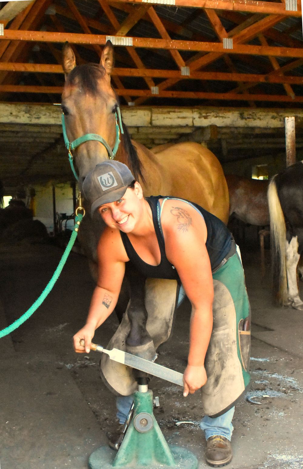 Weaver Horseshoeing ~ Wisconsin Farrier