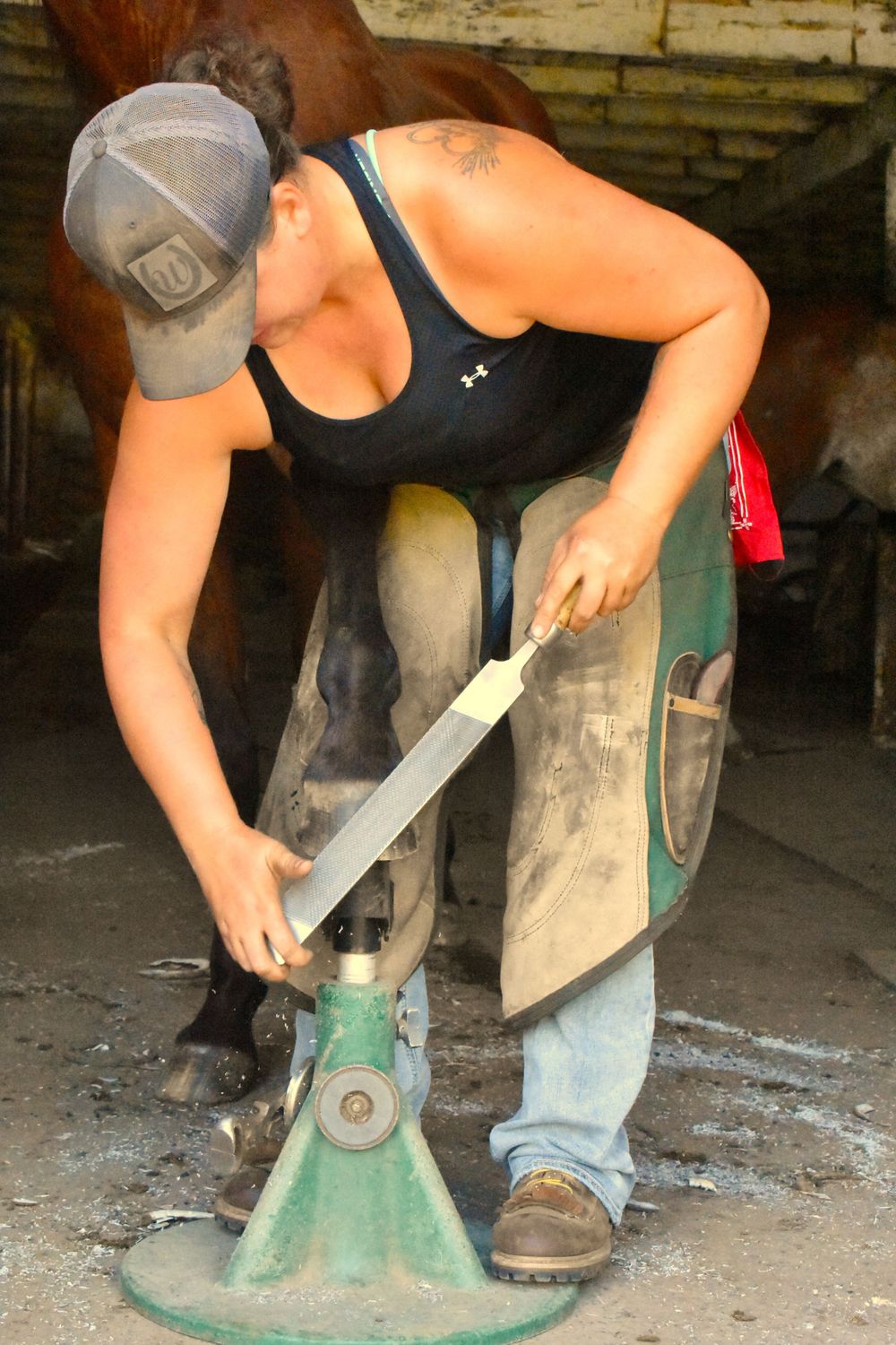 Weaver Horseshoeing ~ Wisconsin Farrier