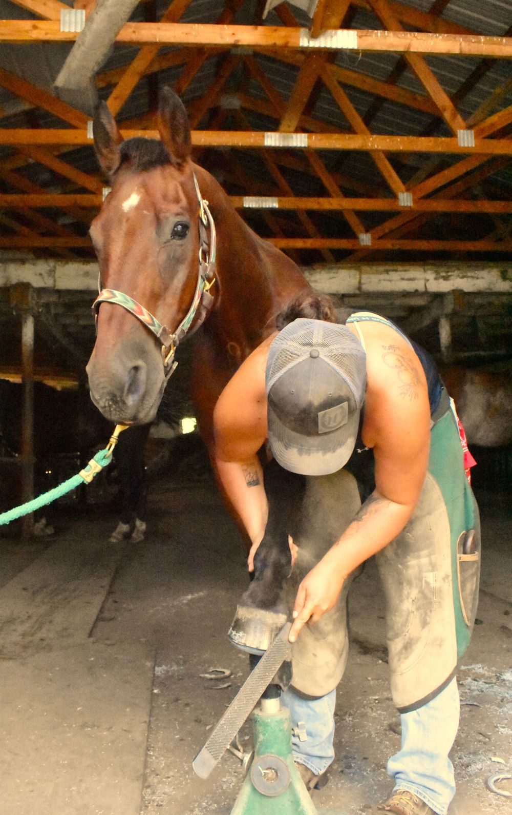 Weaver Horseshoeing ~ Wisconsin Farrier