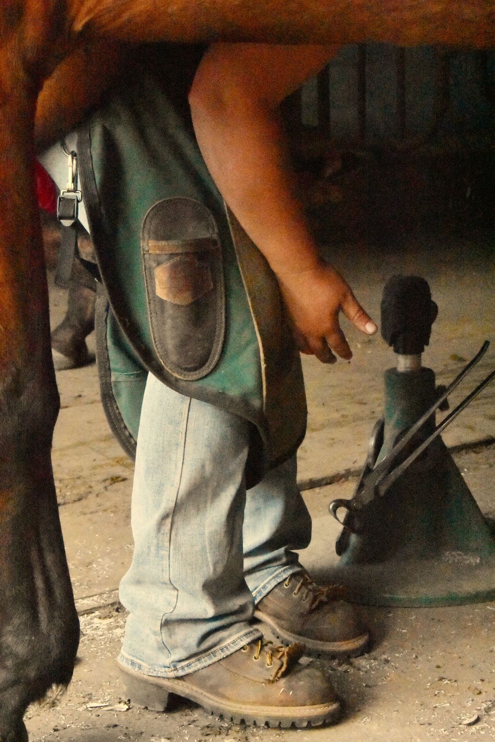 Weaver Horseshoeing ~ Wisconsin Farrier