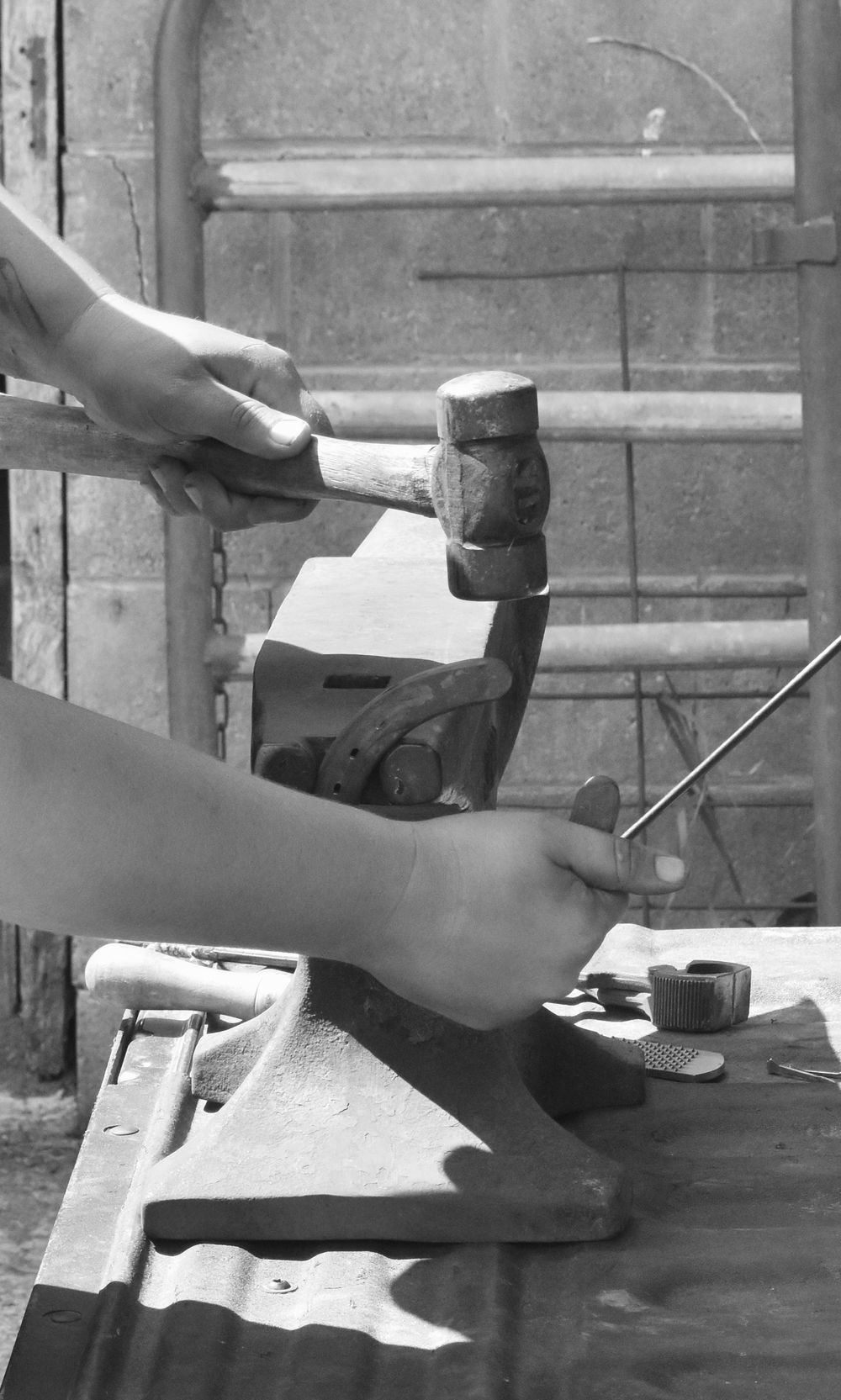 Weaver Horseshoeing ~ Wisconsin Farrier