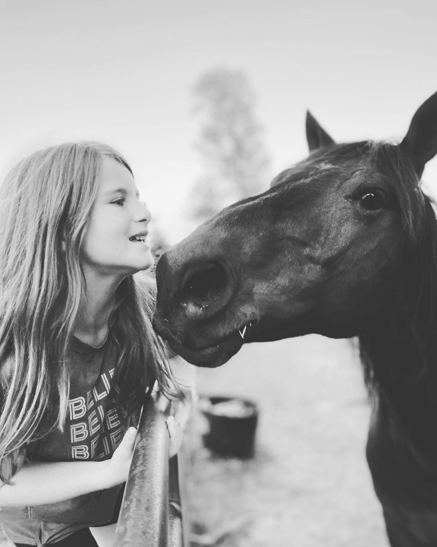 A tender moment between a dark horse and someone sharing affection in a black and white photograph.
